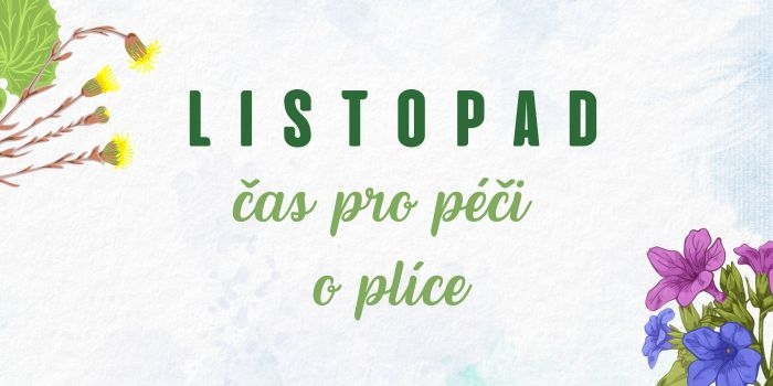 TČM listopad - newsletter